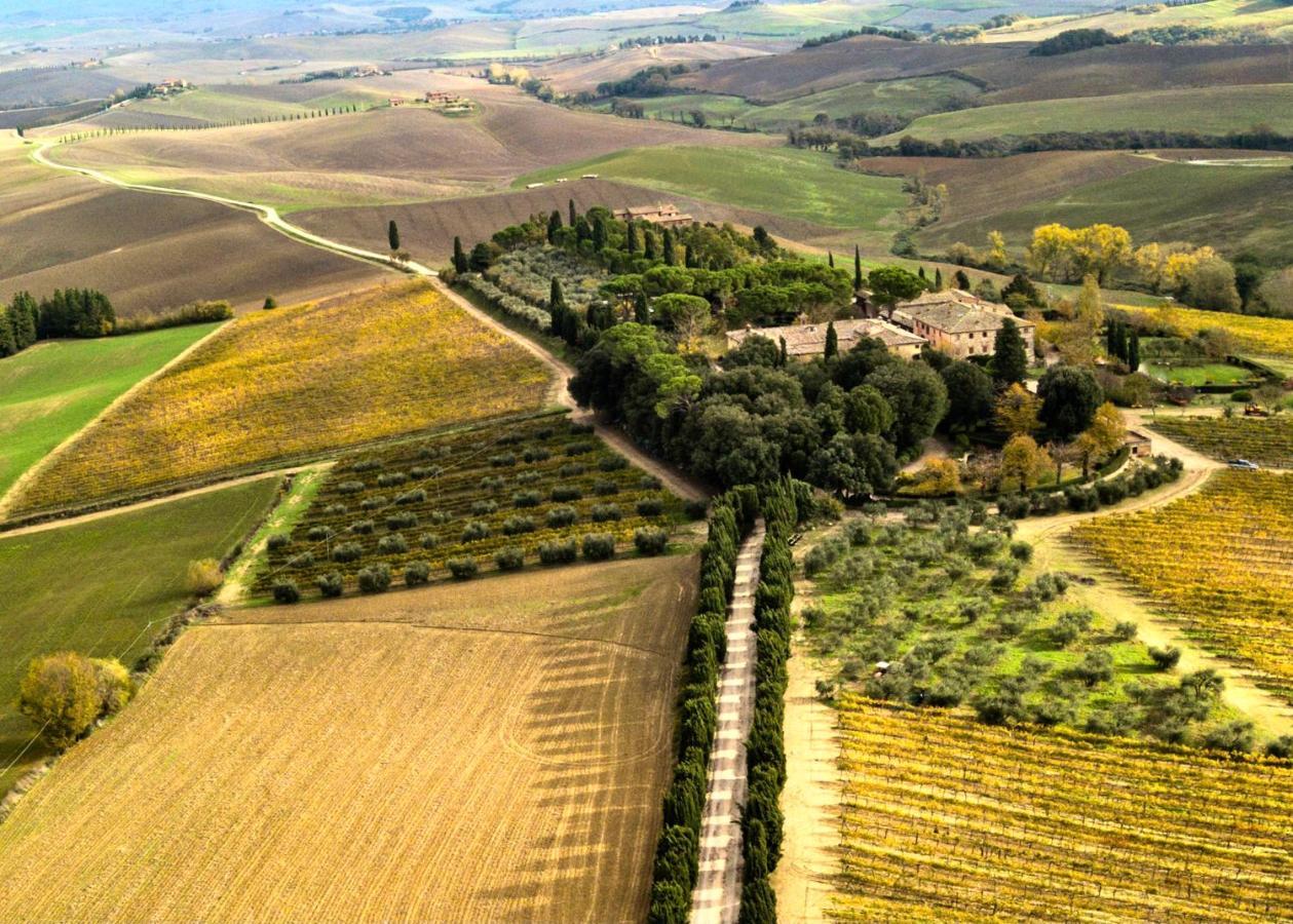 Villa Buonsignori - Wine & Olive Oil Farm Corsano  Exterior foto